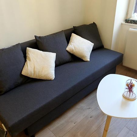 Appartement Cosy Entier, Parking Gratuit Dans La Rue Дижон Экстерьер фото