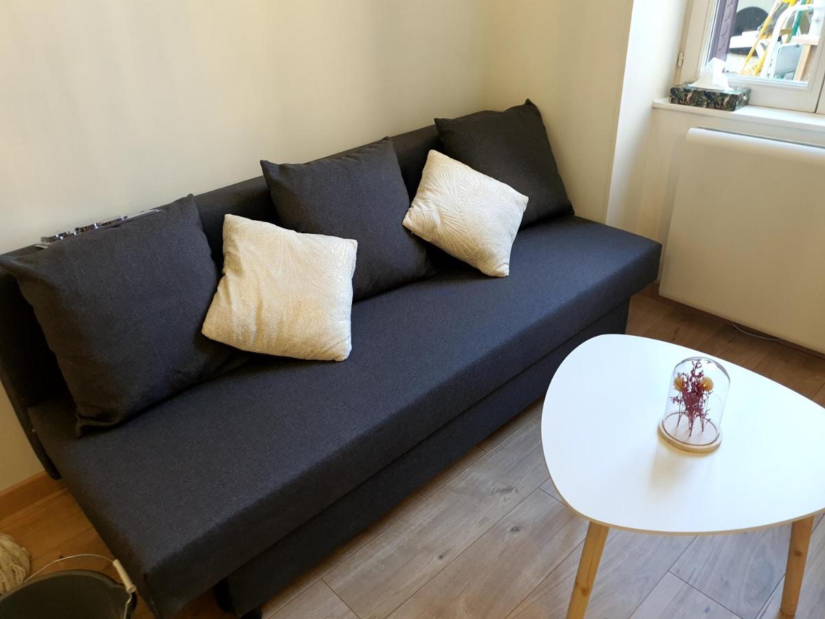 Appartement Cosy Entier, Parking Gratuit Dans La Rue Дижон Экстерьер фото
