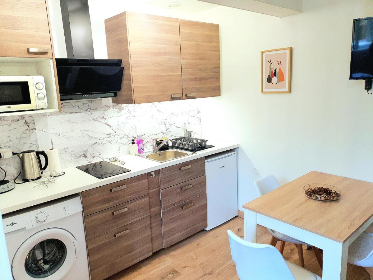 Appartement Cosy Entier, Parking Gratuit Dans La Rue Дижон Экстерьер фото
