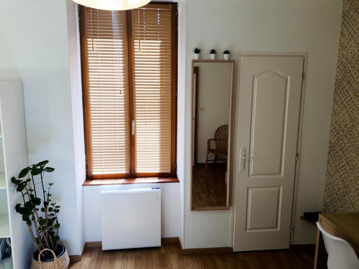 Appartement Cosy Entier, Parking Gratuit Dans La Rue Дижон Экстерьер фото
